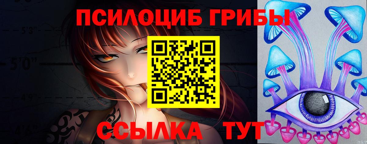 купить закладку  Галлюциногенные грибы Magic Shrooms  Вход с VPN  Артём  Галлюциногенные грибы Psilocybe 